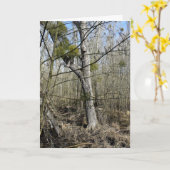 Meadowiner Karte (Gelbe Blume)