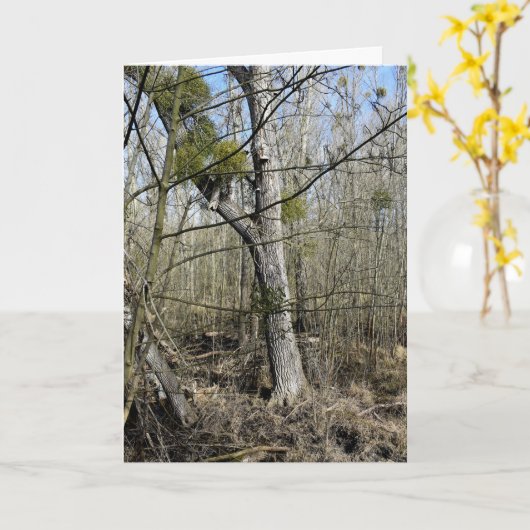 Meadowiner Karte (Gelbe Blume)