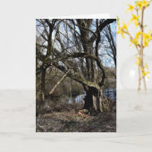 Meadowiner Karte (Gelbe Blume)