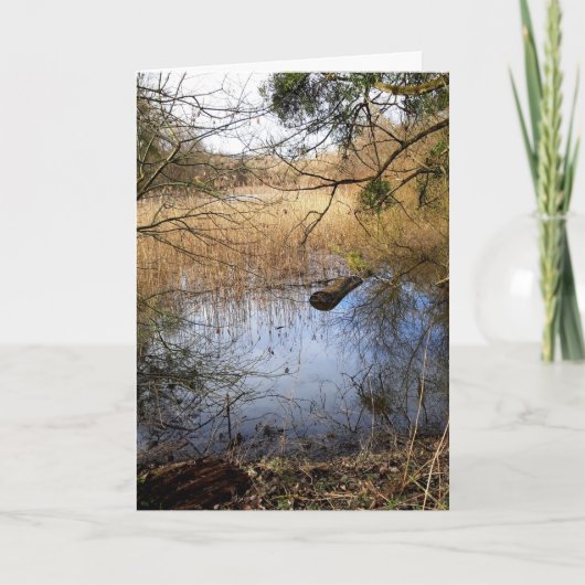 Meadowiner Karte (Vorderseite)