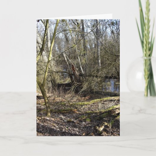 Meadowiner Karte (Vorderseite)