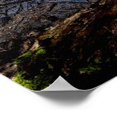 Meadowiner Poster (Ecke)