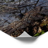 Meadowiner Poster (Ecke)