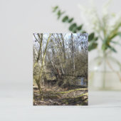 Meadowiner Postkarte (Stehend Vorderseite)