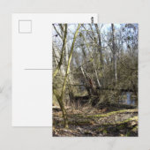 Meadowiner Postkarte (Vorne/Hinten)