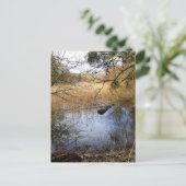 Meadowiner Postkarte (Stehend Vorderseite)