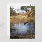 Meadowiner Postkarte (Vorne/Hinten)