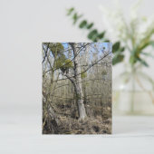 Meadowiner Postkarte (Stehend Vorderseite)