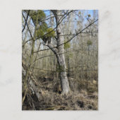 Meadowiner Postkarte (Vorderseite)