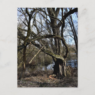 Meadowiner Postkarte