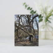 Meadowiner Postkarte (Stehend Vorderseite)