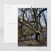 Meadowiner Postkarte (Vorne/Hinten)