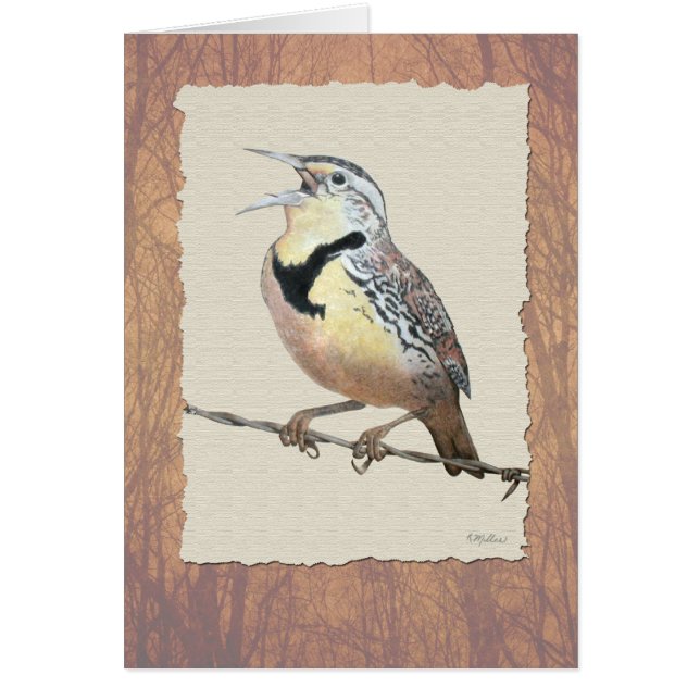 Meadowlark (Vorne)