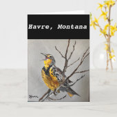 Meadowlark Karte - Havre, Montana (Gelbe Blume)