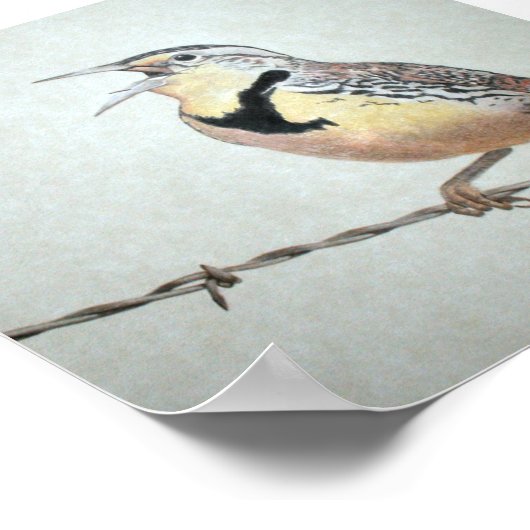 Meadowlark Poster (Ecke)