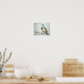Meadowlark Poster (Küche)