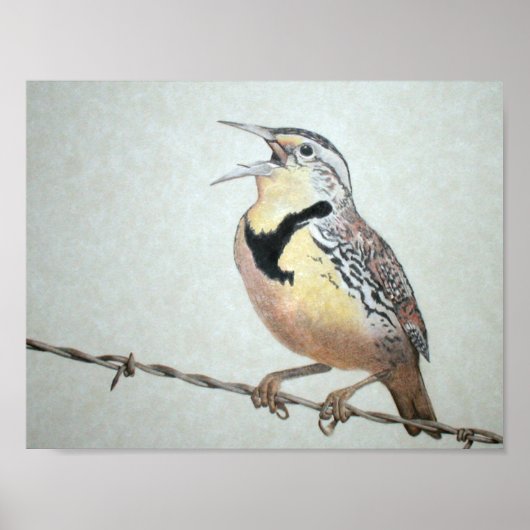 Meadowlark Poster (Vorne)