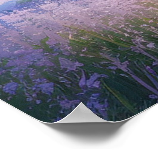 Meadow's Vibrant Symphony Poster (Ecke)