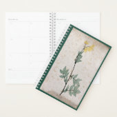 Meadowsweet-Planer Planer (Anzeige)