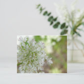 Meadowsweet Postkarte (Stehend Vorderseite)