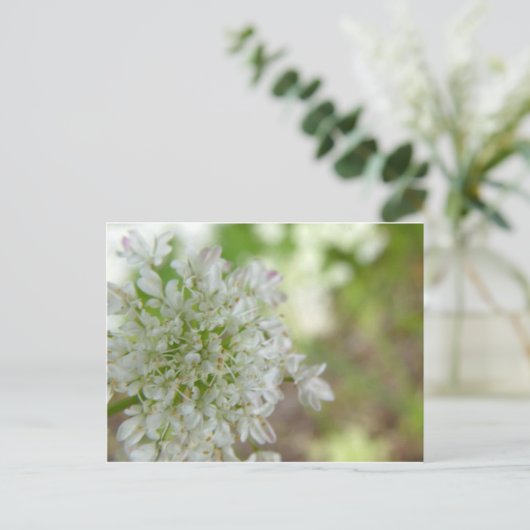 Meadowsweet Postkarte (Stehend Vorderseite)