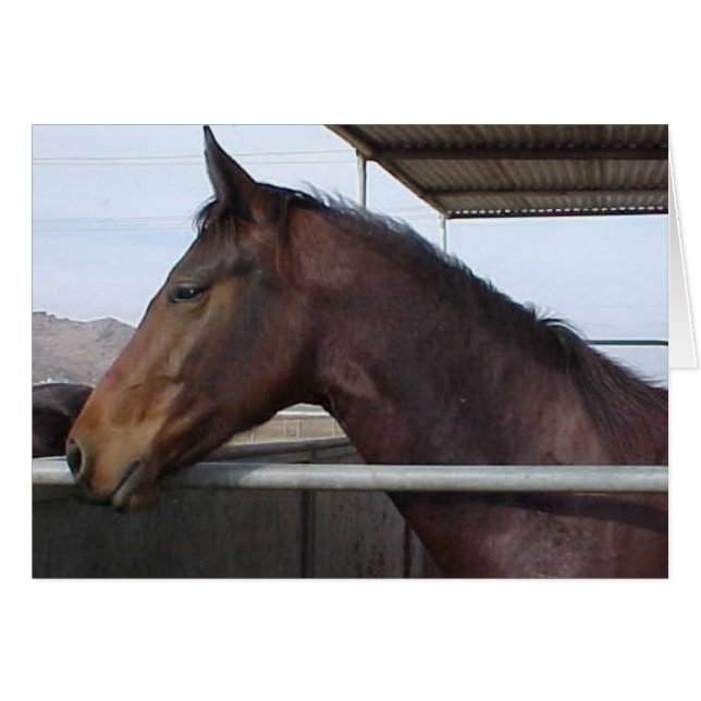 Meaghan (Vorderseite (Horizontal))