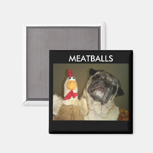 MEATBALLS MAGNETS MAGNET (Vorderseite/Rückseite)