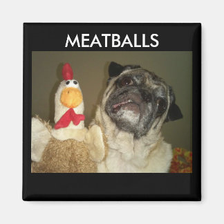 MEATBALLS MAGNETS MAGNET