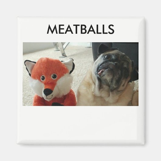 MEATBALLS MAGNETS MAGNET (Vorne)