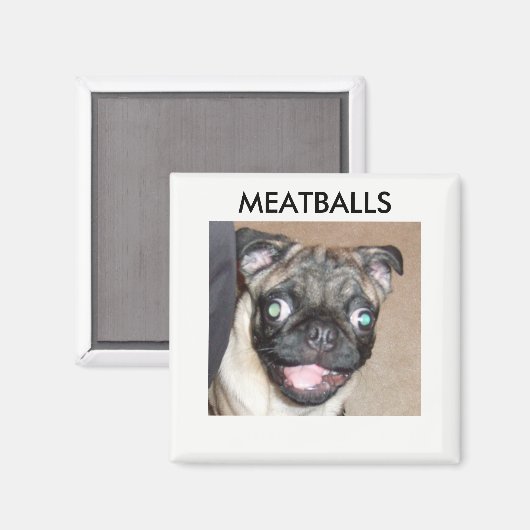 MEATBALLS MAGNETS MAGNET (Vorderseite/Rückseite)