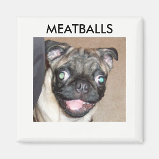 MEATBALLS MAGNETS MAGNET