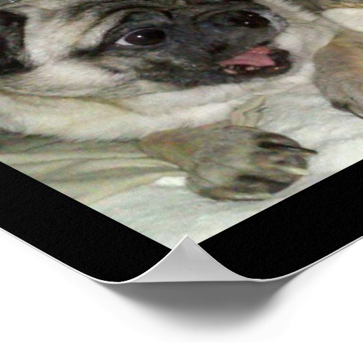 MEATBALLS POSTER (Ecke)