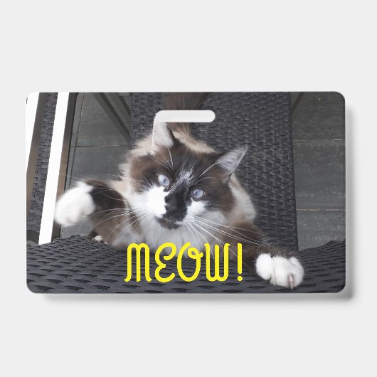 Meau! Ausweis (Vorderseite)