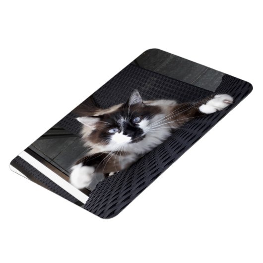 Meau! Magnet (Linke Seite)