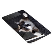 Meau! Magnet (Rechte Seite)