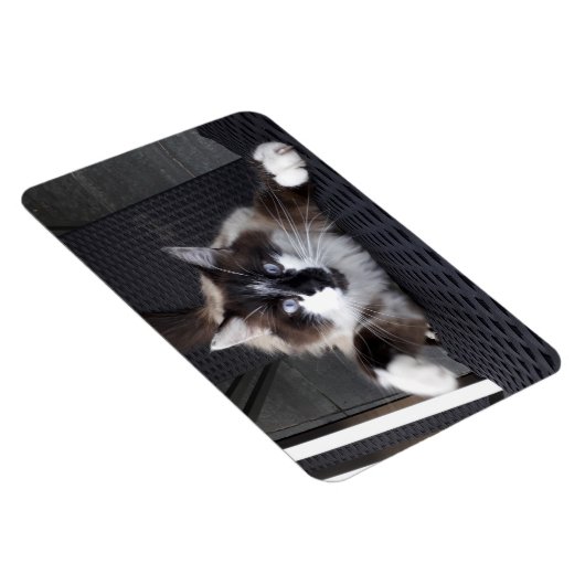 Meau! Magnet (Rechte Seite)