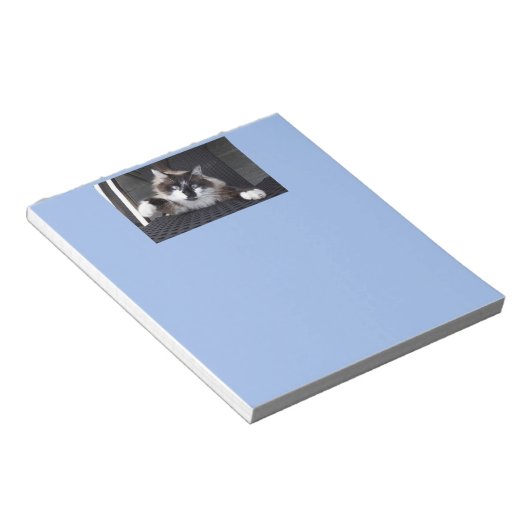 Meau! - notizblock (angewinkelt)