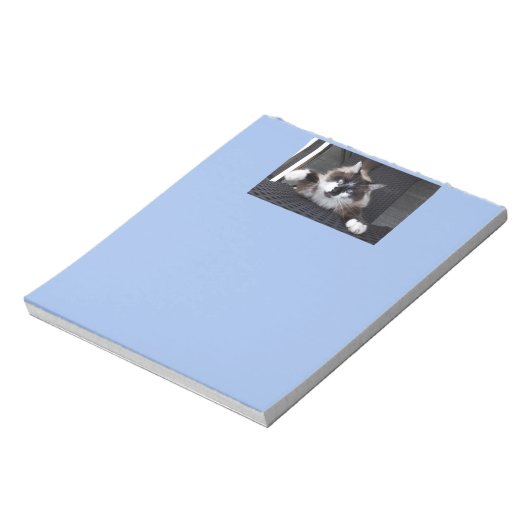 Meau! - notizblock (Rotiert)