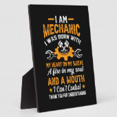 Mechanik I Fotoplatte (Seite)