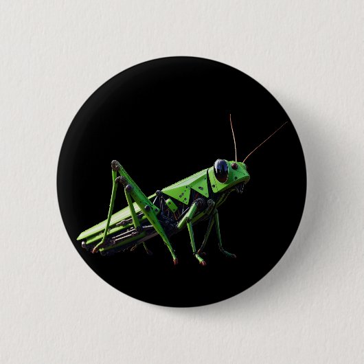 Mechanischer Grasshopper Button (Vorderseite)