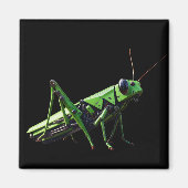 Mechanischer Grasshopper Magnet (Vorne)
