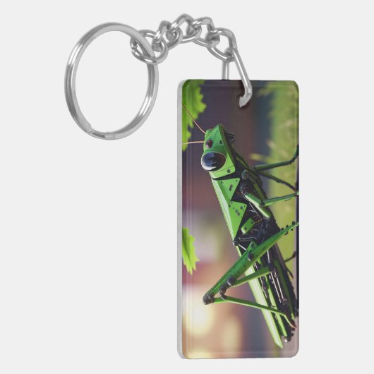 Mechanischer Grasshopper Schlüsselanhänger (Vorderseite links)