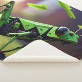 Mechanischer Grasshopper Sherpadecke (3/4)