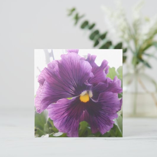 Mechteld Blau (Stehend Vorderseite)