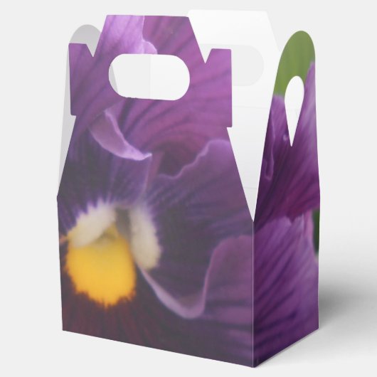 Mechteld Geschenkschachtel (Geöffnet)