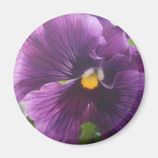 Mechteld Magnet (Vorne)