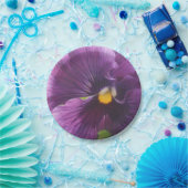 Mechtfeld Pappteller (Party)