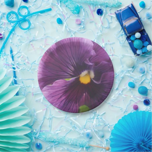 Mechtfeld Pappteller (Party)