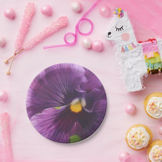 Mechtfeld Pappteller (Party)