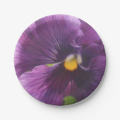 Mechtfeld Pappteller (Vorderseite)